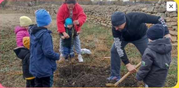 Экологическая акция «Посади дерево» Экологическая акция «Посади дерево».